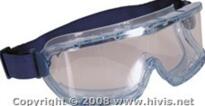 CRH Plant Safety Goggles - Blue Frame