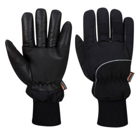 Portwest Apacha Cold Store Glove - A751
